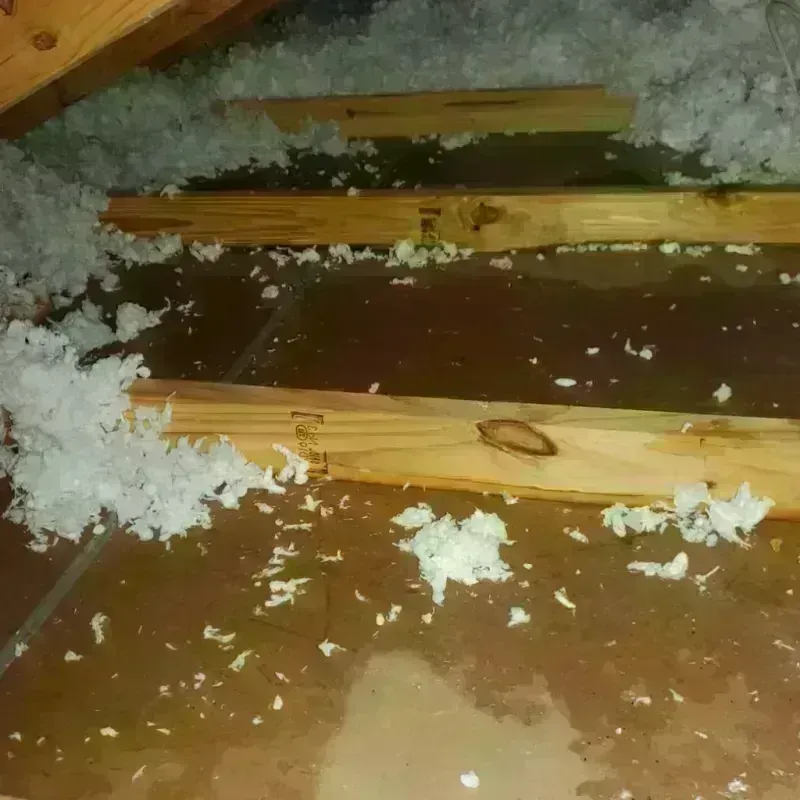 Attic Water Damage in Cumberland, IN